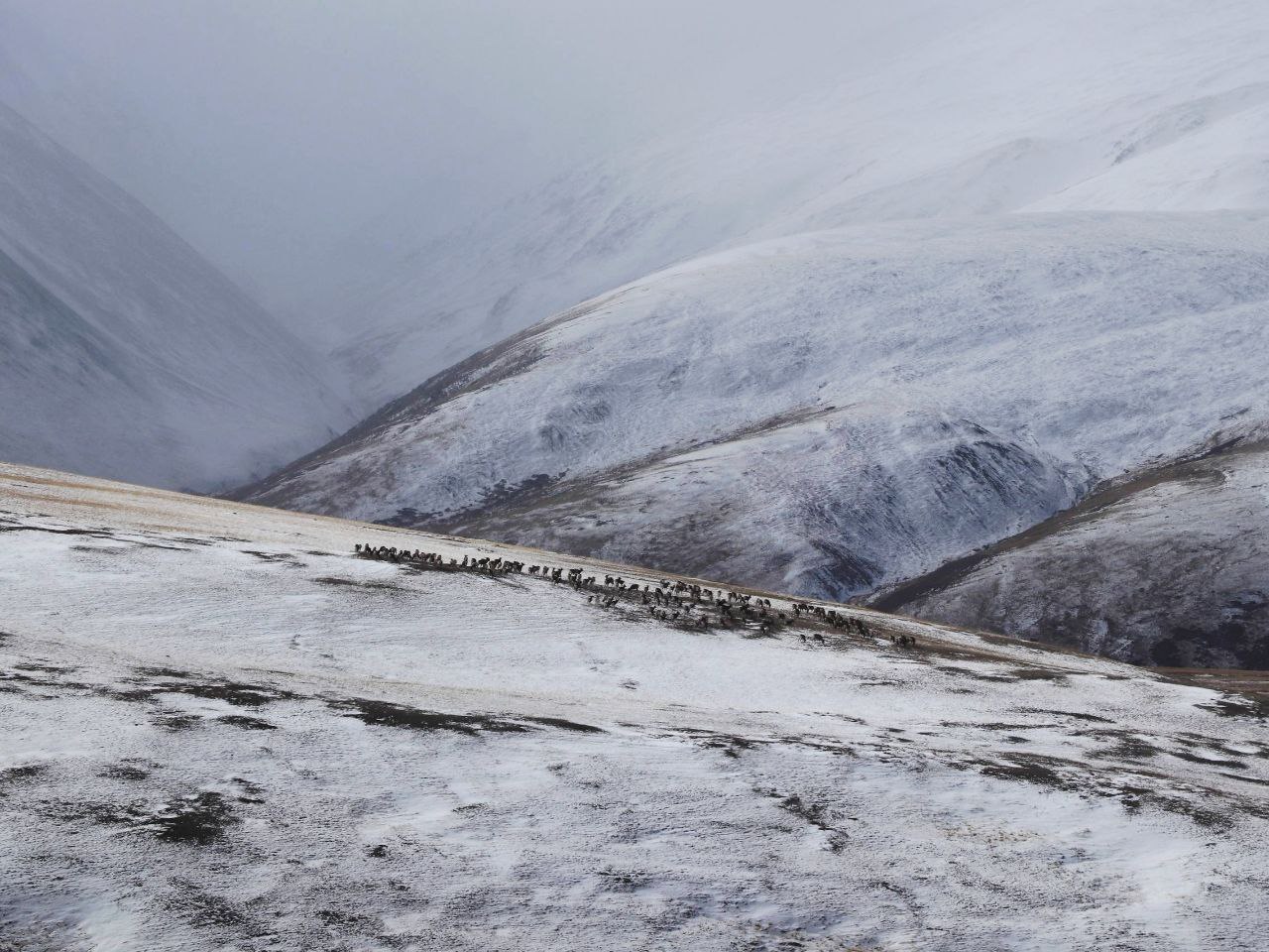 Сюрреалистичные пейзажи запечатлели в Сайлюгемском нацпарке Сюрреалистичные пейзажи запечатлели в Сайлюгемском нацпарке