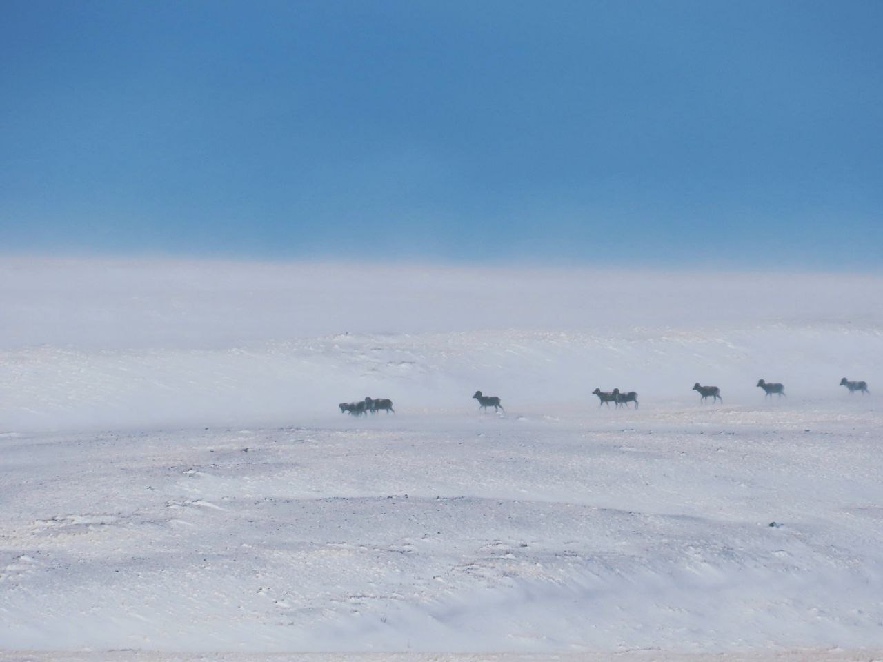 Сюрреалистичные пейзажи запечатлели в Сайлюгемском нацпарке Сюрреалистичные пейзажи запечатлели в Сайлюгемском нацпарке