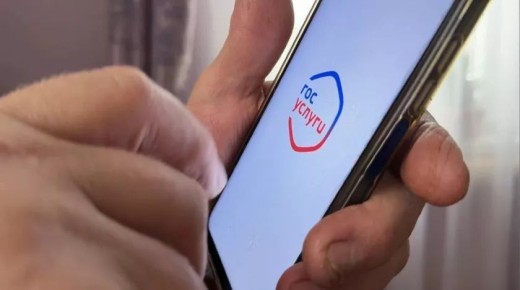 С вероятностью в 100 % в России в конечном счёте введут вход в интернет через «Госуслуги»