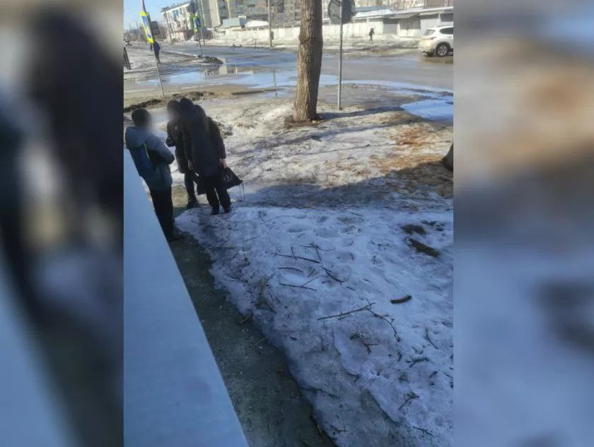 Бийские пенсионеры обвиняют школьников в травле Бийские пенсионеры обвиняют школьников в травле