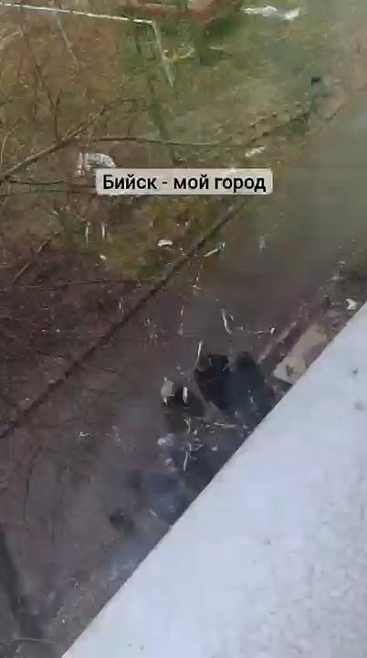 Сегодня "БР" писал о школьниках, которые хулиганят во дворе дома по адресу ул. 8 Марта, 24. Подростки не просто галдят на лавочках и оставляют после себя горы мусора - они буквально издеваются над стариками: посылают матом...