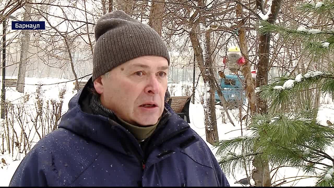 В Барнауле создают безопасную среду для птиц