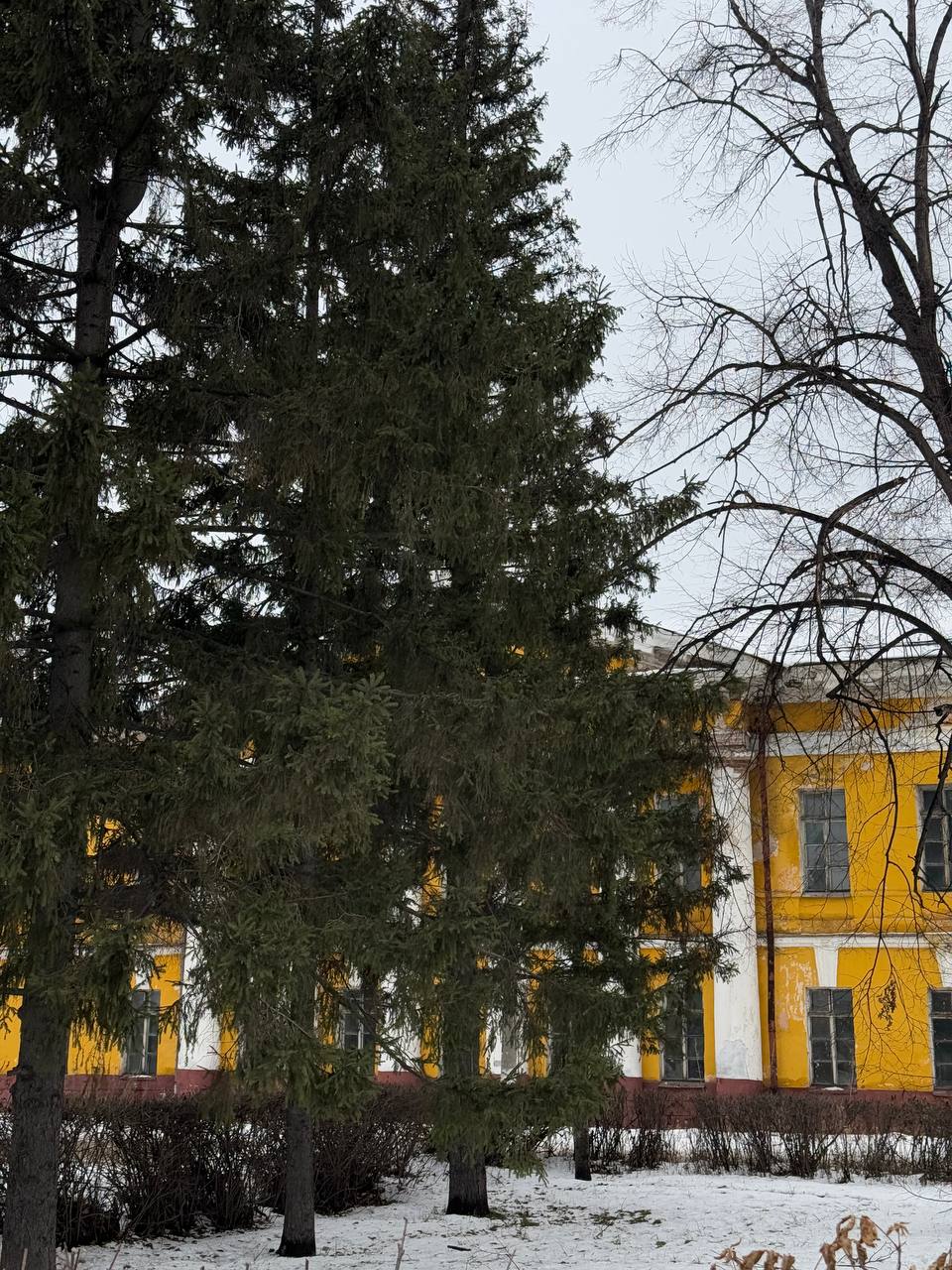 Всем доброе утро, друзья!. Сегодня нас ждет потепление, однако не обойдется без метелей и снега Всем доброе утро, друзья!. Сегодня нас ждет потепление, однако не обойдется без метелей и снега