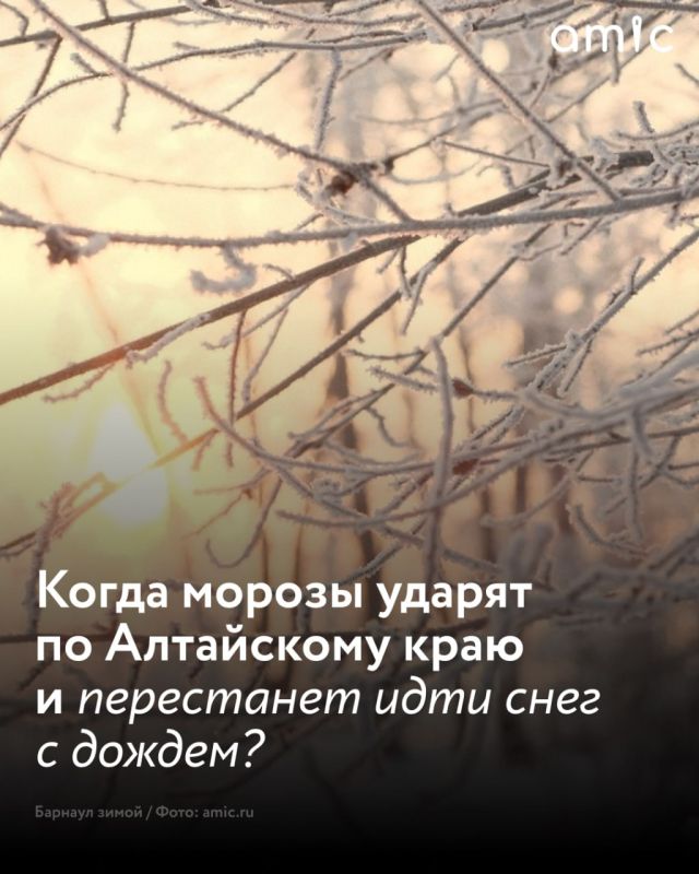  10        ,       ,      &quot;&quot;  