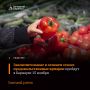 15 ноября продовольственные ярмарки состоятся во всех районах Барнаула