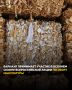 С 1 сентября по 30 ноября в Барнауле проходит осенний сезон Всероссийской акции по сбору макулатуры "БумБатл"