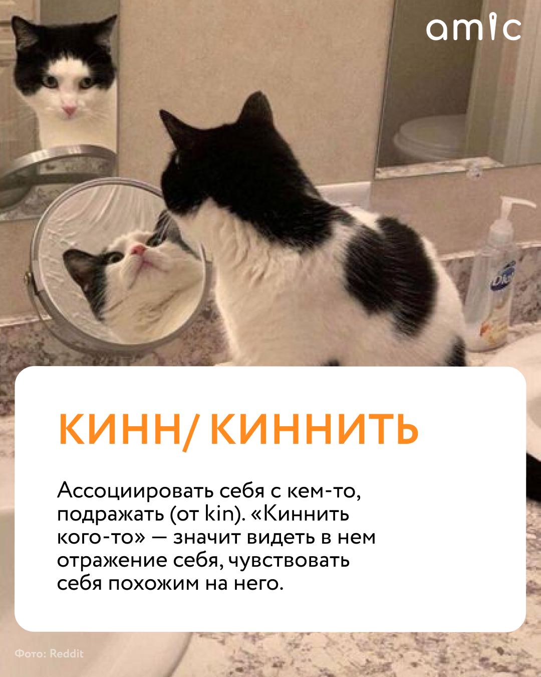 Разрешите вас немного забайтить? Разрешите вас немного забайтить?