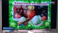 В краеведческом музее Алтайского района устроили капустные посиделки