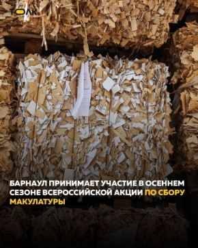 С 1 сентября по 30 ноября в Барнауле проходит осенний сезон Всероссийской акции по сбору макулатуры "БумБатл"