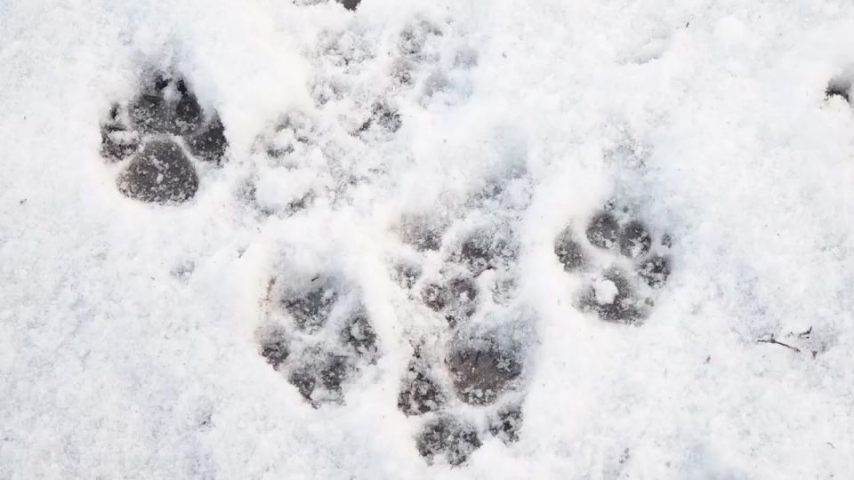 &quot;  ,    !&quot; 