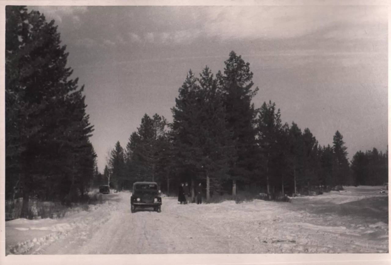 Кедроград просуществовал на Алтае не один год Кедроград просуществовал на Алтае не один год