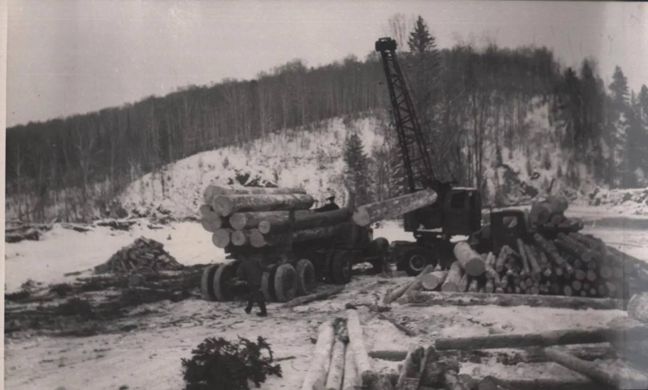 Кедроград просуществовал на Алтае не один год Кедроград просуществовал на Алтае не один год