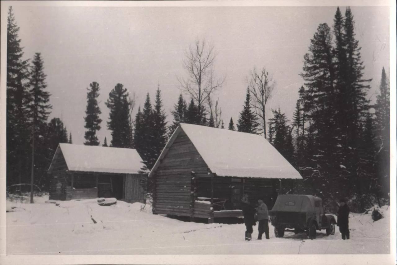 Кедроград просуществовал на Алтае не один год Кедроград просуществовал на Алтае не один год
