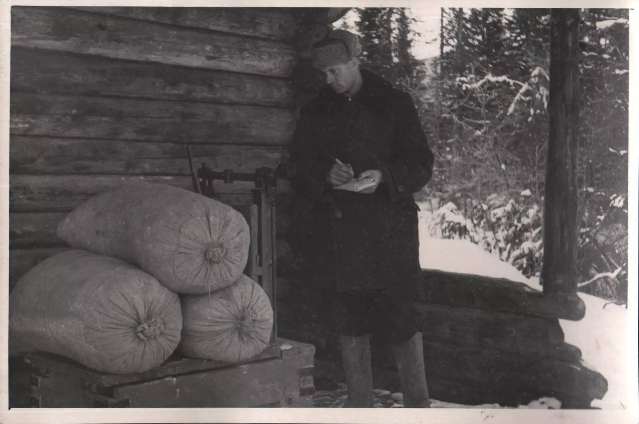 Кедроград просуществовал на Алтае не один год Кедроград просуществовал на Алтае не один год