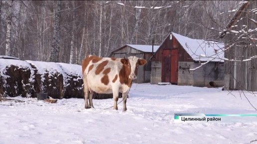 Топили снег и возили воду из речки: в алтайском селе провели водоснабжение после десятилетий мучений