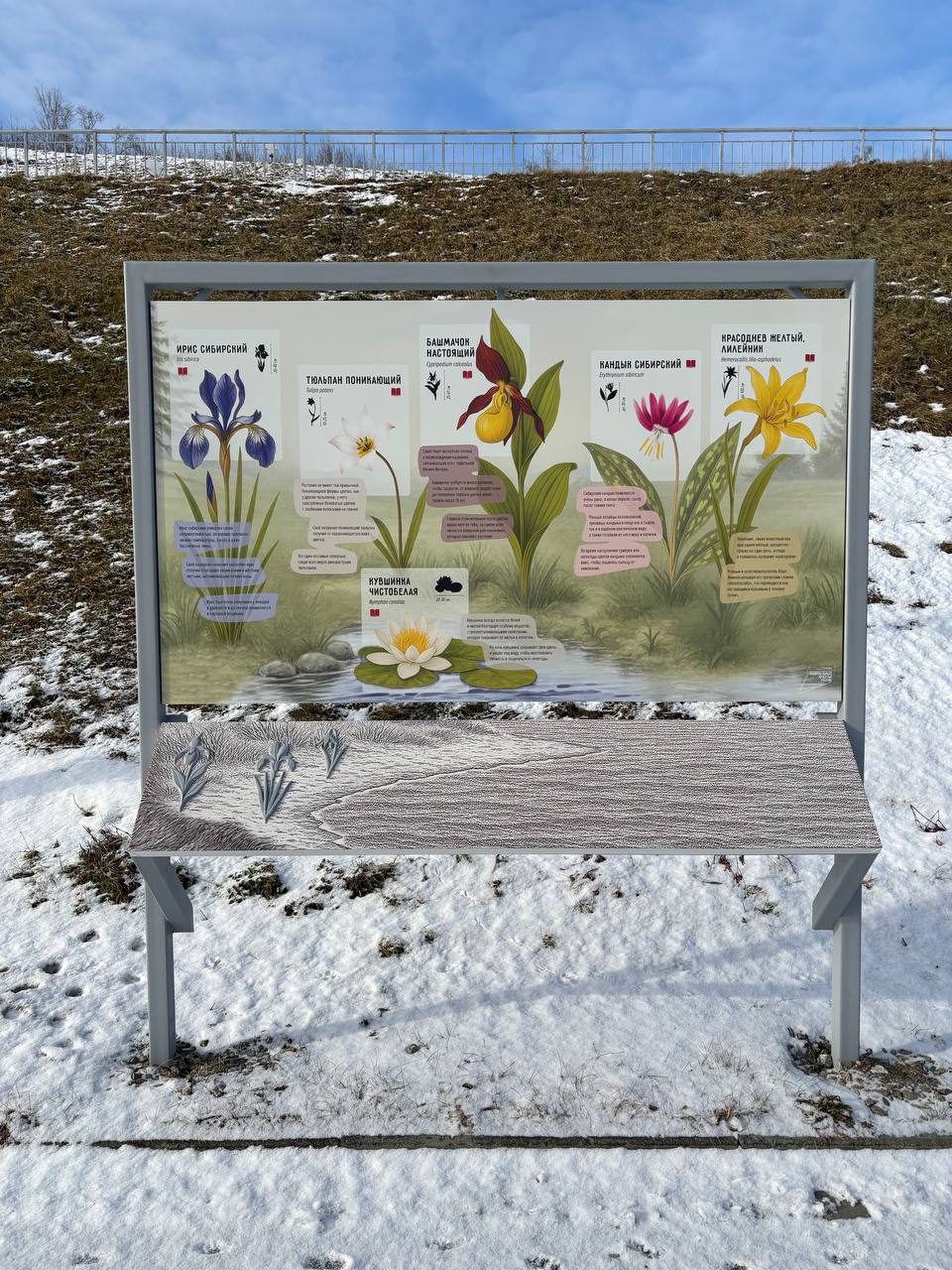 А вы видели, что на набережной теперь можно узнать про флору, фауну и историю пароходства Алтайского края?