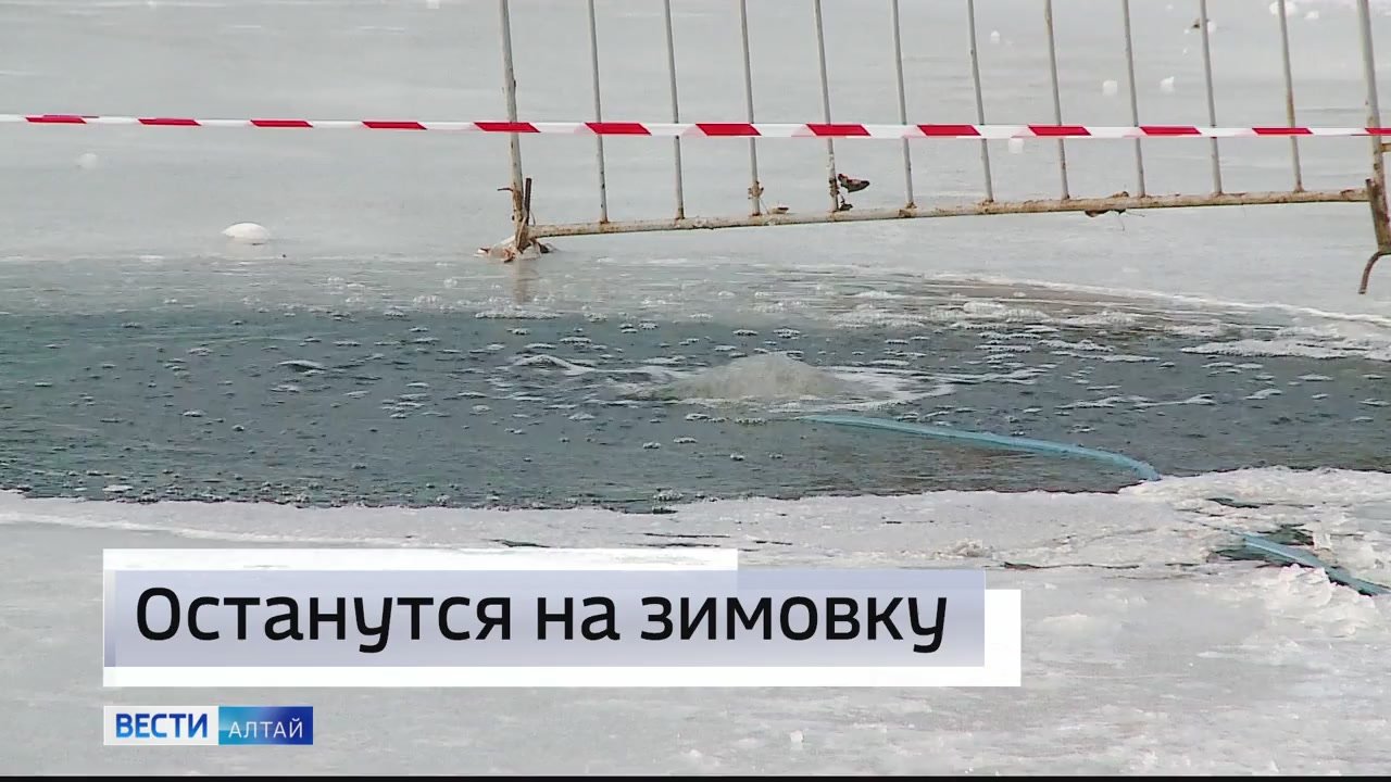 Этой зимой карпы останутся зимовать в «Изумрудном» – в барнаульском парке заработала система аэрации воды