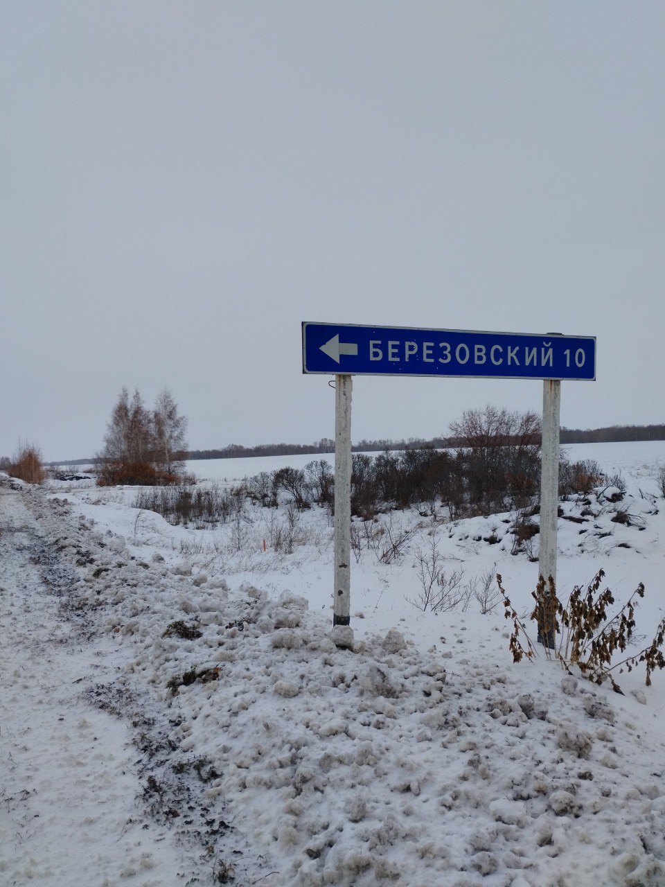 По федеральному проекту мобильная связь появилась в трех населенных пунктах Алтайского края По федеральному проекту мобильная связь появилась в трех населенных пунктах Алтайского края