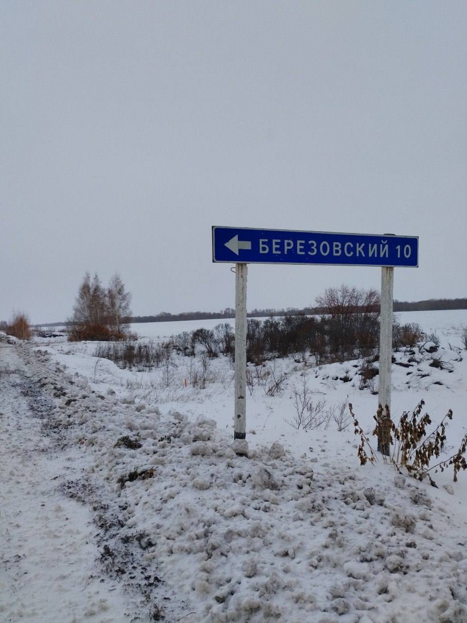 Жителей трех населенных пунктов Алтайского края обеспечили мобильной связью Жителей трех населенных пунктов Алтайского края обеспечили мобильной связью