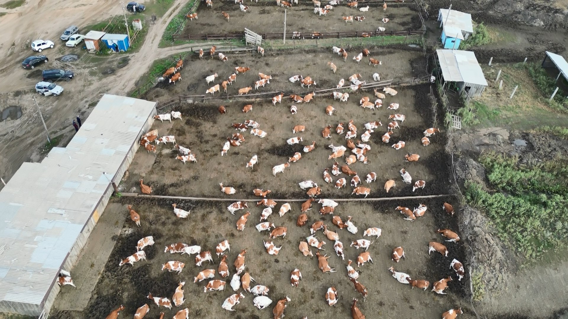 Именно в этом районе установлен единственный в стране памятник помидору! Здесь выращивают овощи на полях, благоустраивают малые села, успешно воспитывают юных аграриев и не только Именно в этом районе установлен единственный в стране памятник помидору! Здесь выращивают овощи на полях, благоустраивают малые села, успешно воспитывают юных аграриев и не только