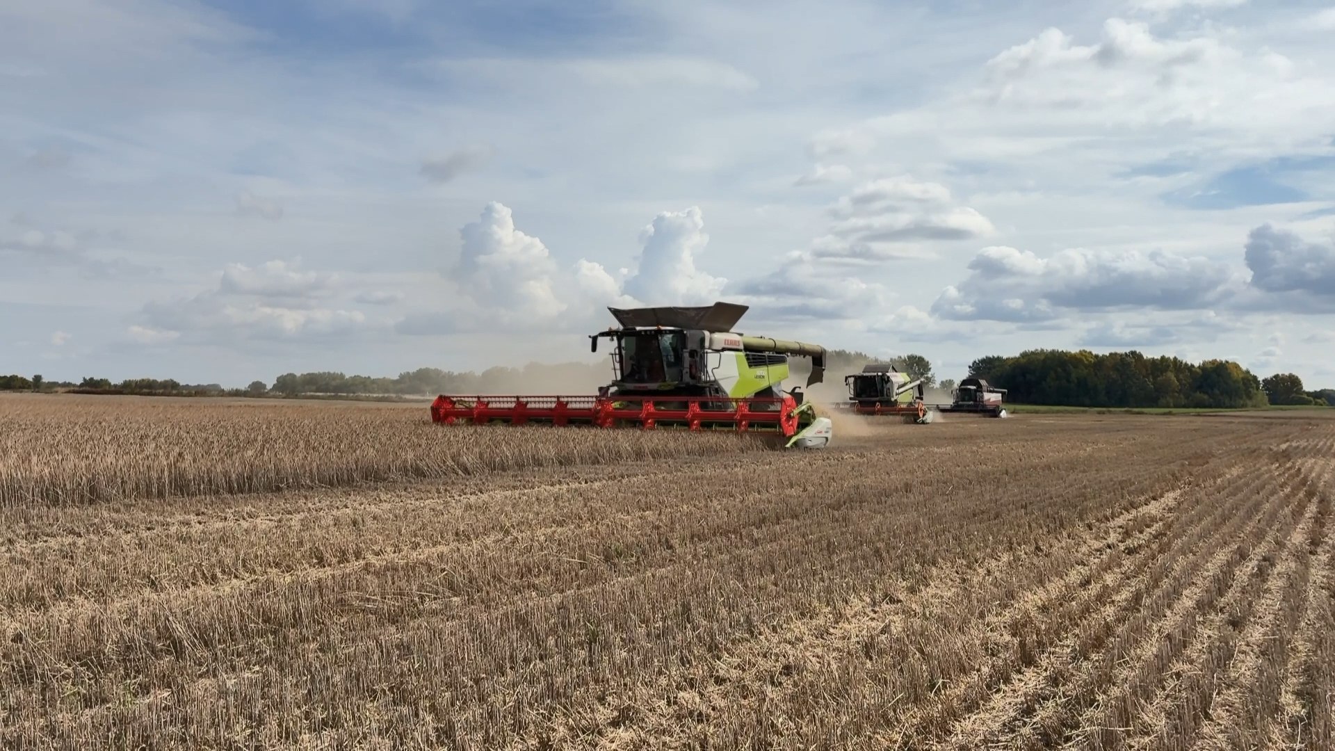 Именно в этом районе установлен единственный в стране памятник помидору! Здесь выращивают овощи на полях, благоустраивают малые села, успешно воспитывают юных аграриев и не только Именно в этом районе установлен единственный в стране памятник помидору! Здесь выращивают овощи на полях, благоустраивают малые села, успешно воспитывают юных аграриев и не только