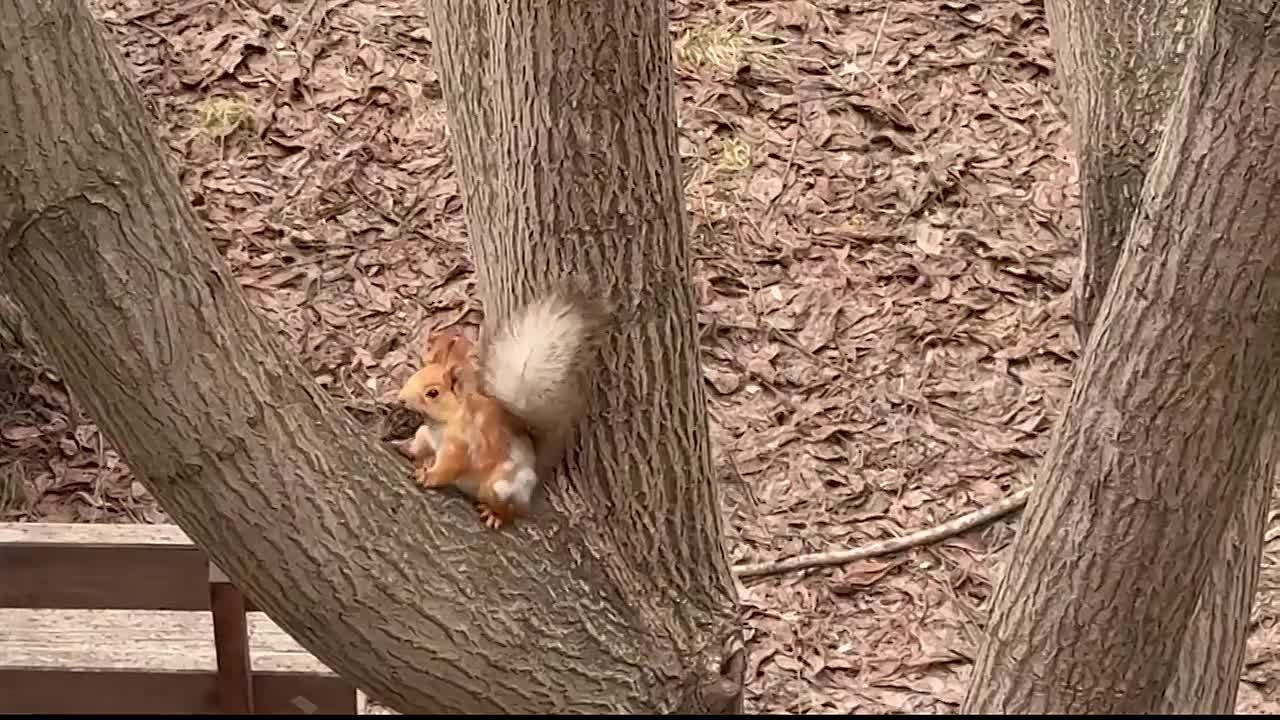 Сегодня – Международный день белок