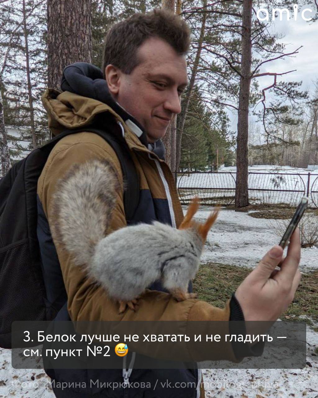 «Нагорный», «Юбилейный», «Изумрудный», «Лесная сказка» — что объединяет эти парки? Здесь живет много белок, которые рады орешкам и семечкам «Нагорный», «Юбилейный», «Изумрудный», «Лесная сказка» — что объединяет эти парки? Здесь живет много белок, которые рады орешкам и семечкам