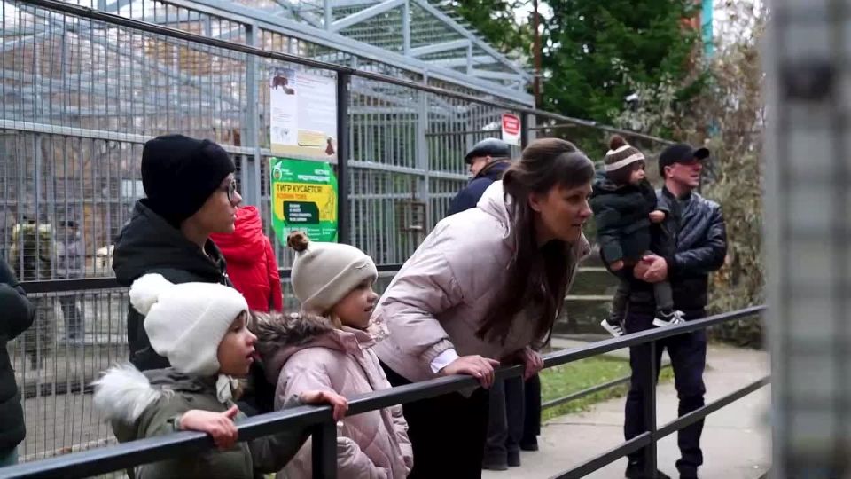 Любовь на расстоянии переросла в "Семью года"