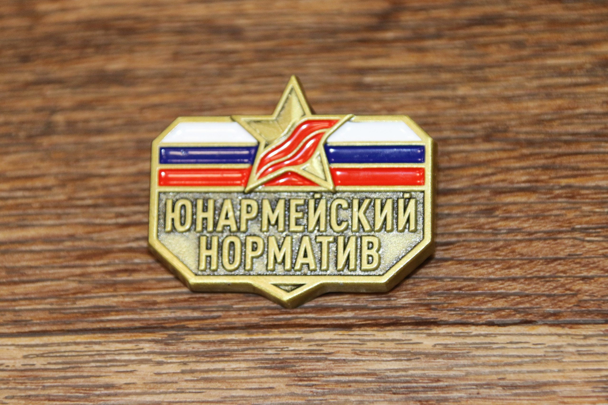 «Юнармейский норматив» - успешный старт в Бийске! «Юнармейский норматив» - успешный старт в Бийске!