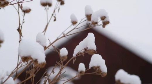 В Бийске 17 ноября будет ясно, осадков не ожидается. Температура воздуха днм от 0 до -2 градусов