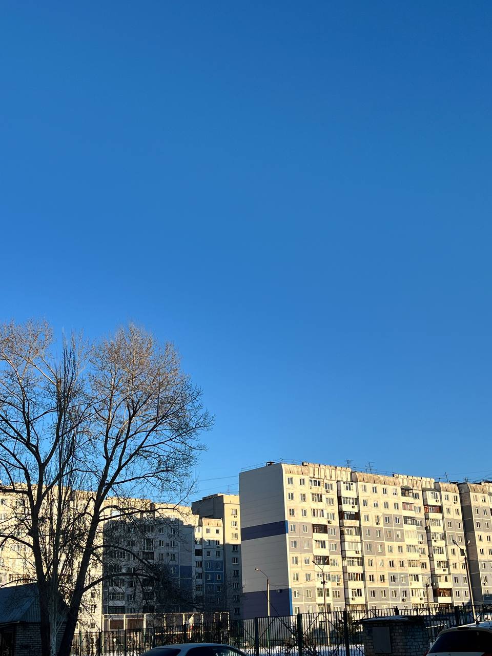 Доброе утро и удачной новой недели, Алтайский край! Доброе утро и удачной новой недели, Алтайский край!