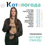 Прогноз погоды в эфире телеканала «Катунь 24» будет рассказывать Кристина Власова вместе с трёхмесячным котёнком по кличке Мася