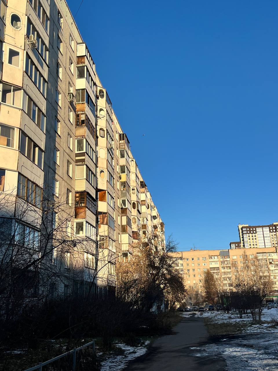 Доброе утро и удачной новой недели, Алтайский край!