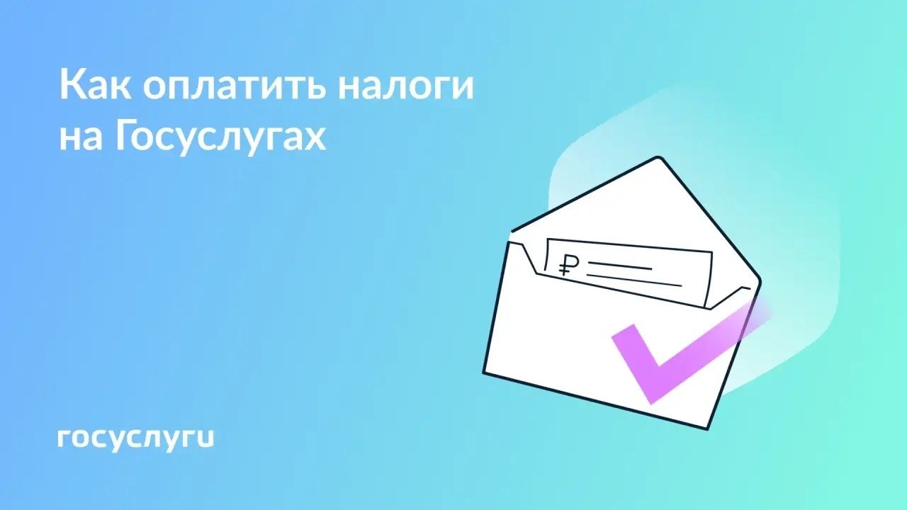 Оплатите налоги за 2024 год до 1 декабря