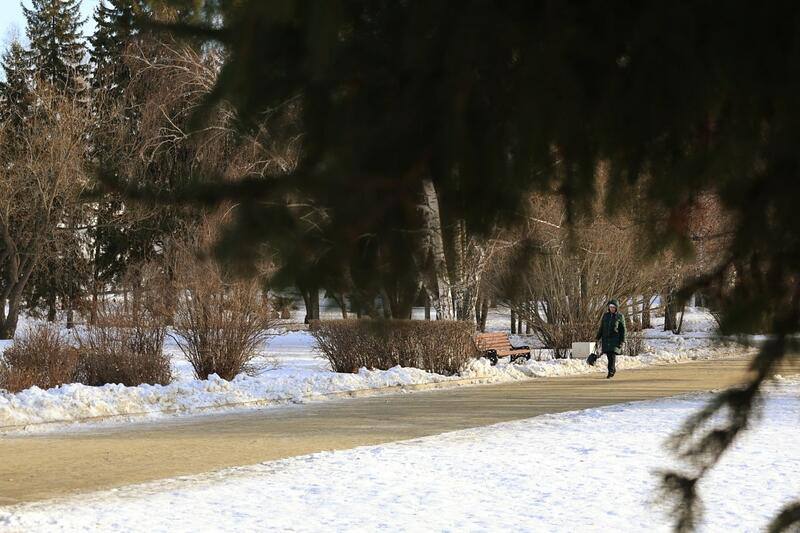 Ноябрьская "весна". Небольшое, но приятное потепление пришло в Барнаул Ноябрьская "весна". Небольшое, но приятное потепление пришло в Барнаул