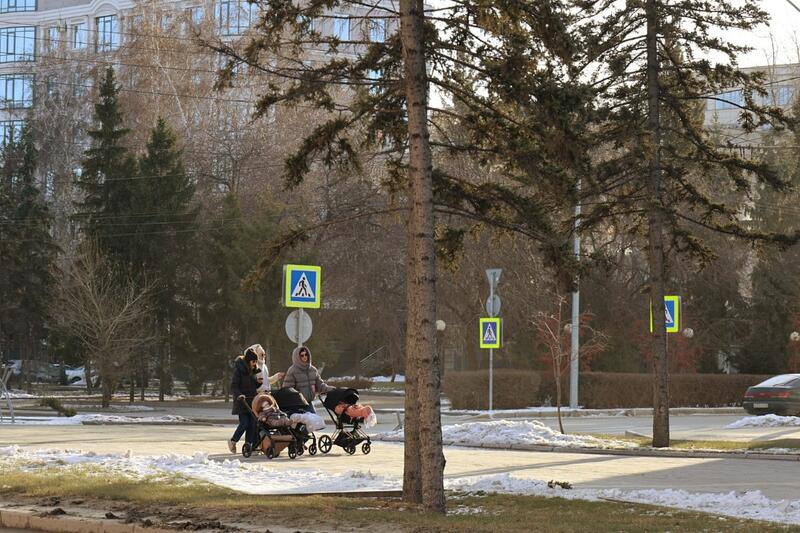 Ноябрьская "весна". Небольшое, но приятное потепление пришло в Барнаул Ноябрьская "весна". Небольшое, но приятное потепление пришло в Барнаул