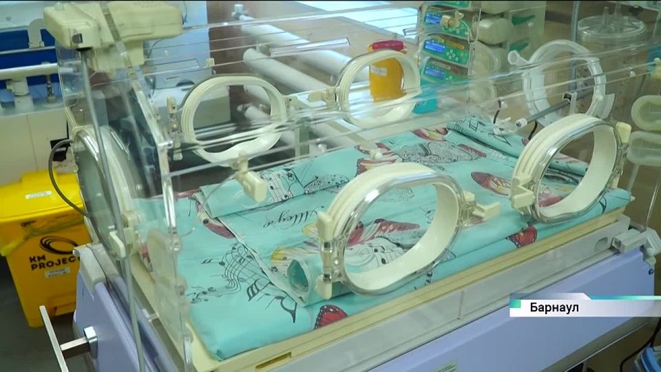 Каждый год в Алтайском крае на свет появляются сотни детей, которым приходится начинать жизнь раньше срока — и сразу бороться за неё
