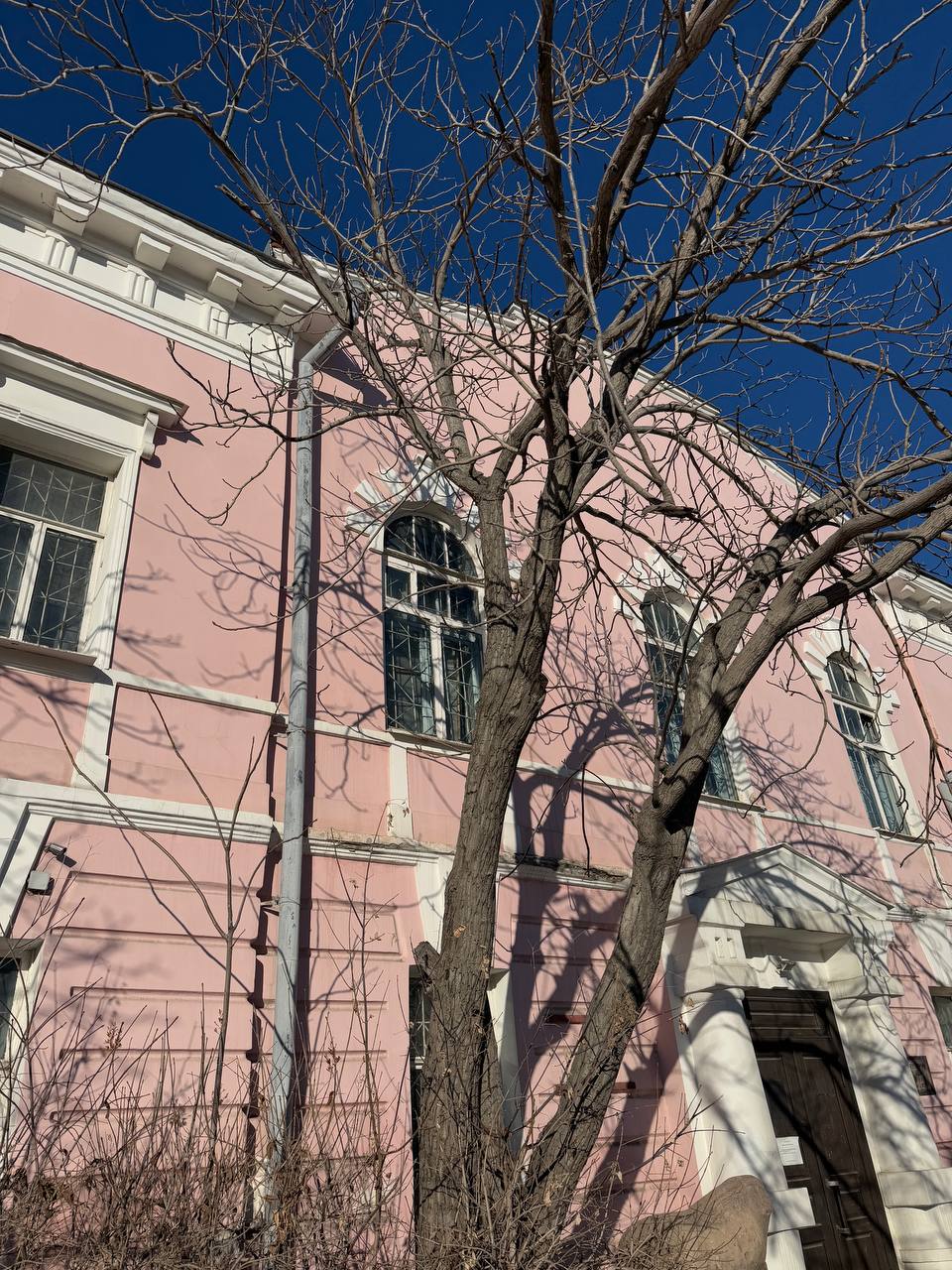 Всем отличного вторника!. Морозов, судя по предварительному прогнозу, пока не предвидится Всем отличного вторника!. Морозов, судя по предварительному прогнозу, пока не предвидится