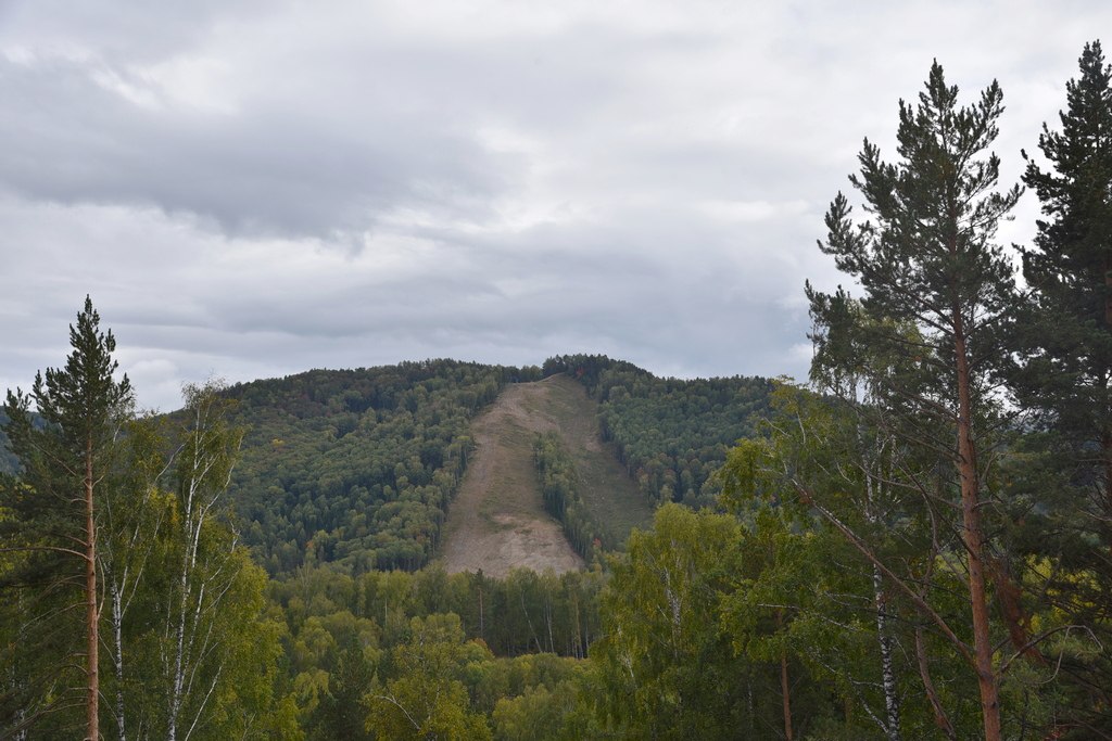 Депутаты предлагают запретить добычу россыпного золота в шести районах Алтайского края