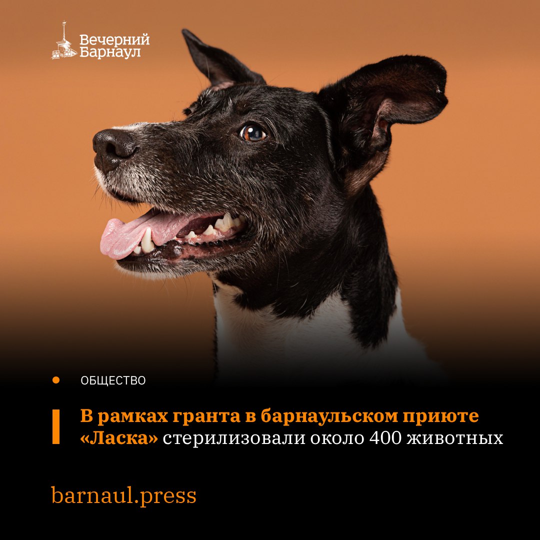 В Барнауле прошло выездное совещание на территории «Ласки»