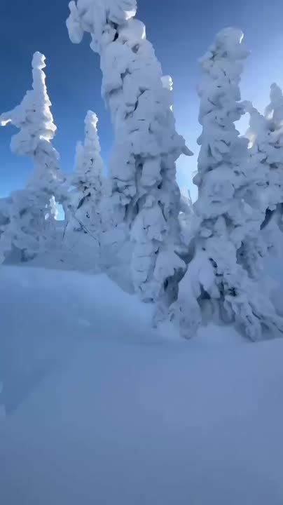 Горнолыжный сезон откроется в Шерегеше 22 ноября