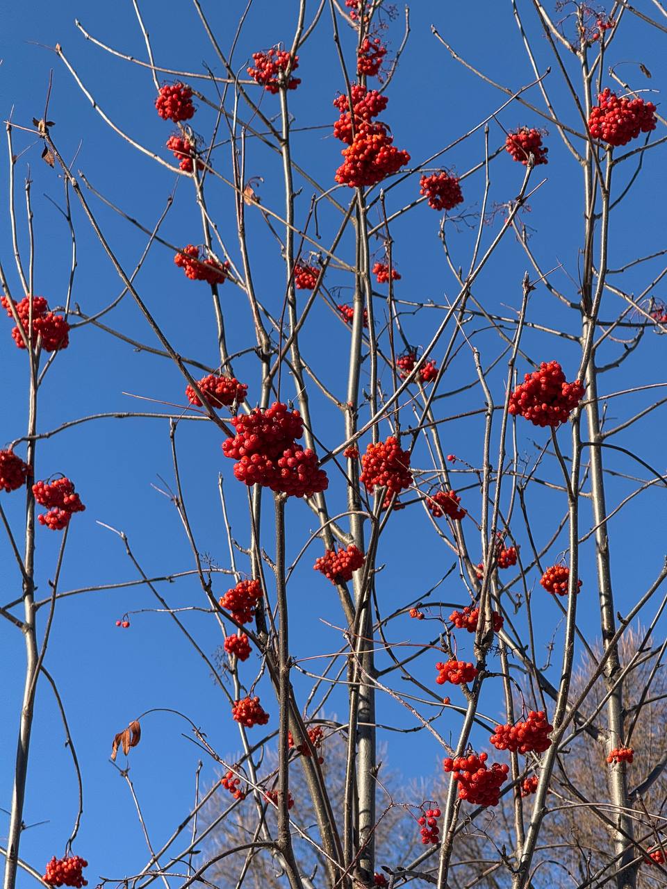 Желаем удачной среды!. За окном ожидаются плюсовые температуры, но утром довольно скользко, поэтому будьте осторожны Желаем удачной среды!. За окном ожидаются плюсовые температуры, но утром довольно скользко, поэтому будьте осторожны