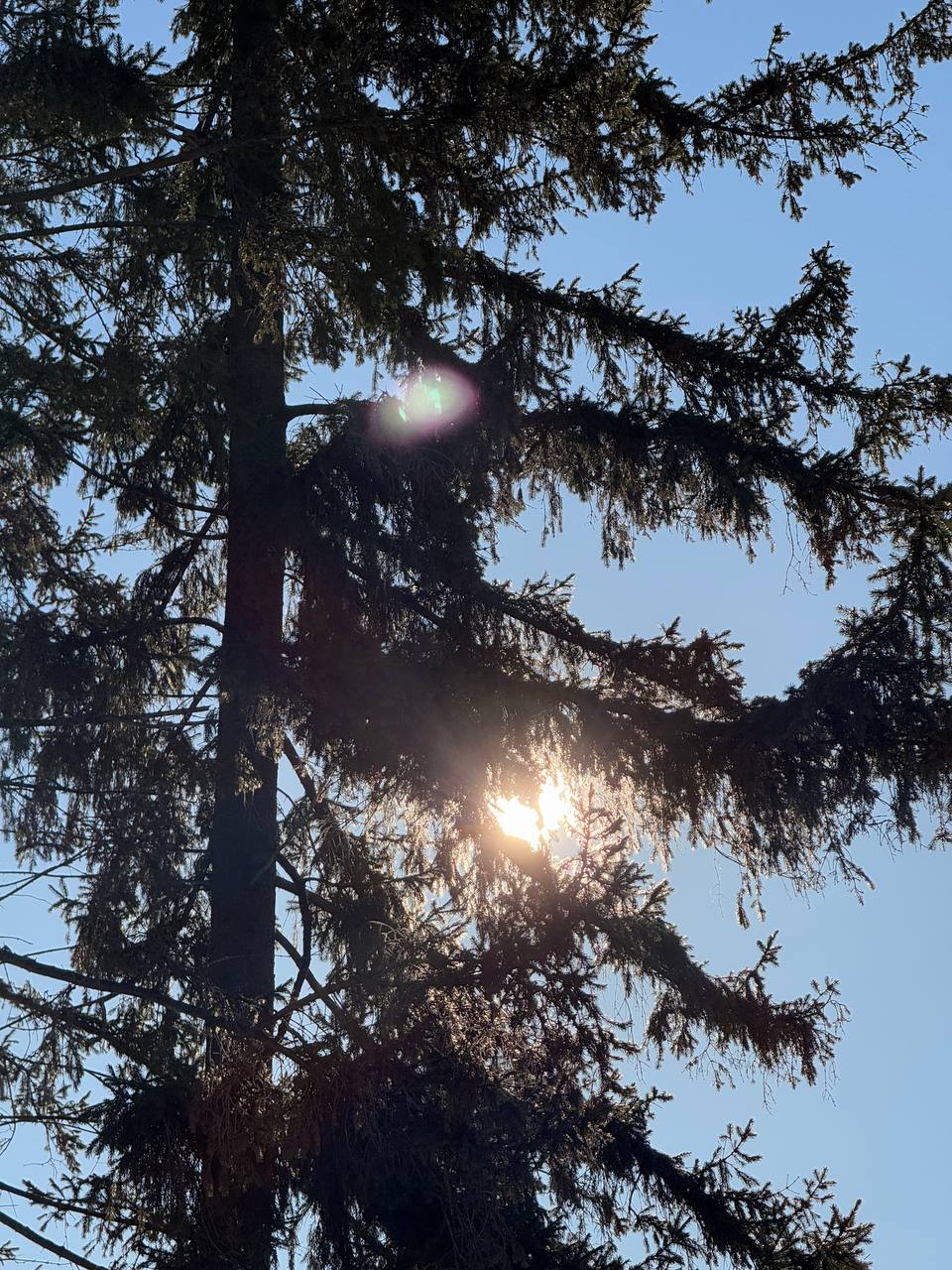 Желаем удачной среды!. За окном ожидаются плюсовые температуры, но утром довольно скользко, поэтому будьте осторожны Желаем удачной среды!. За окном ожидаются плюсовые температуры, но утром довольно скользко, поэтому будьте осторожны