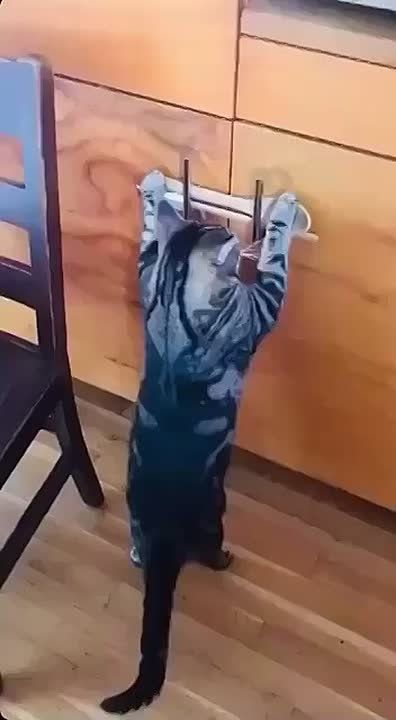 Доброе утро, Алтайский край!