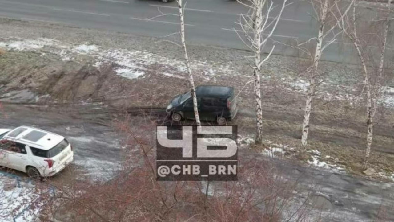 Жители Барнаула пожаловались на уничтоженный газон после замены теплотрассы на Попова