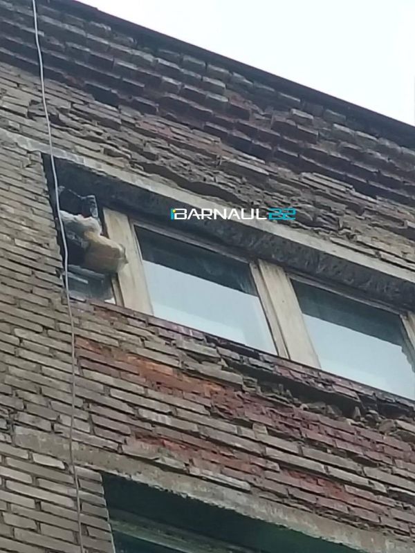 Куски кирпичей падают «на головы» барнаульцев с многоэтажки на переулке Малом Прудском, 40