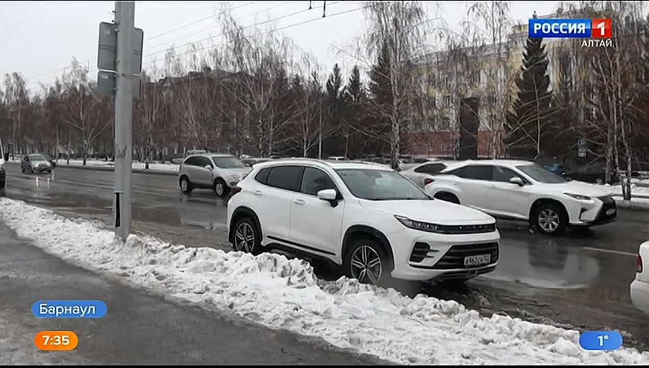 Семья из Барнаула хотела вылечить свою собаку и потеряла больше 35 тысяч рублей