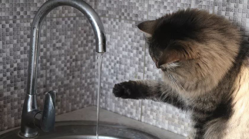 - 19 ноября с 10.00 до 16.00 в связи с проведением ремонтных работ на сетях водоснабжения по ул. Ленинградская и ул. Социалистическая будет отключено холодное водоснабжение в границах ул. Можайского - ул. Кутузова, ул....