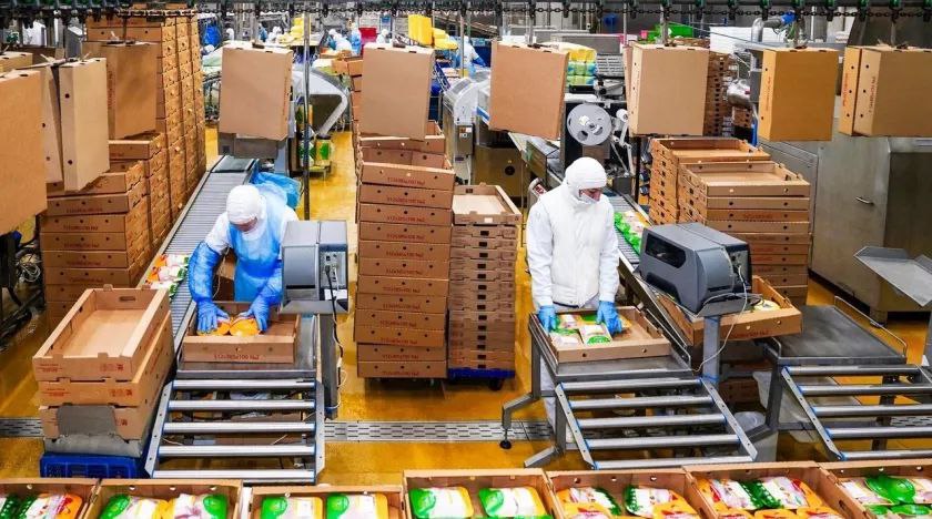 Россельхознадзор намерен проверить «Алтайский бройлер» из-за падежа птицы