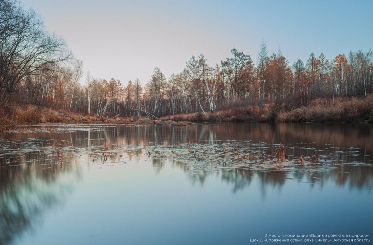 В Федеральном агентстве водных ресурсов подвели итоги Всероссийского конкурса «Водные достояния России (осень) – 2025» В Федеральном агентстве водных ресурсов подвели итоги Всероссийского конкурса «Водные достояния России (осень) – 2025»